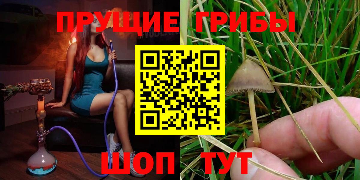 Новороссийск  Галлюциногенные грибы Cubensis  Вход с VPN  Псилоцибиновые грибы прущие грибы 